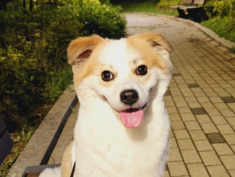 사진 4