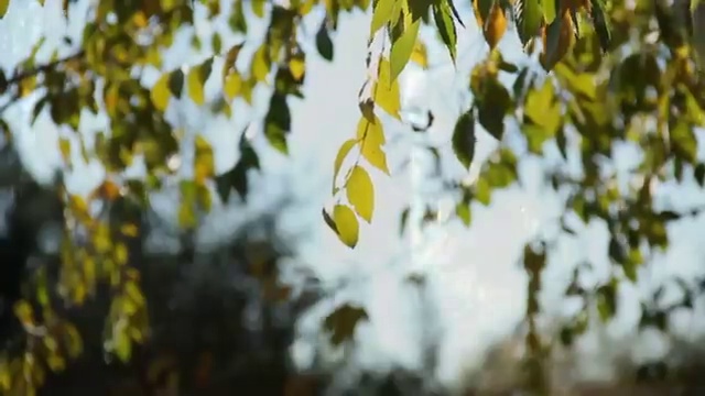  교통사고 감정사 , 자격증 공부한 방법