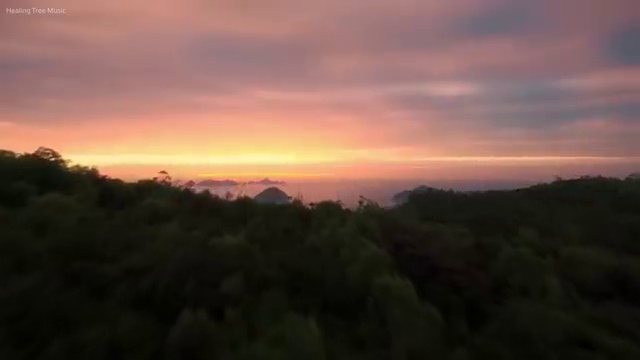  도로교통사고감정사 , 자격증 취득 노하우