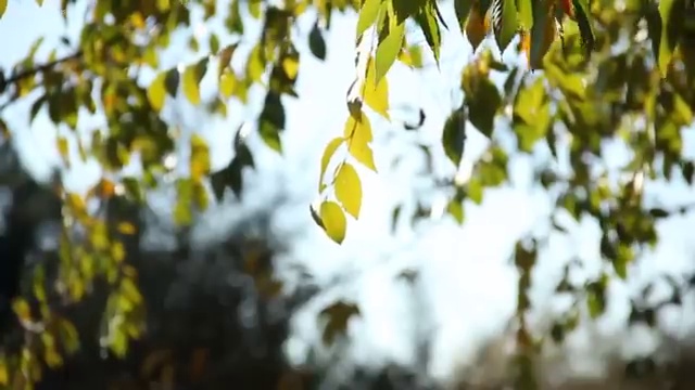  교통사고분석사 , 간편하게 성공한 후기