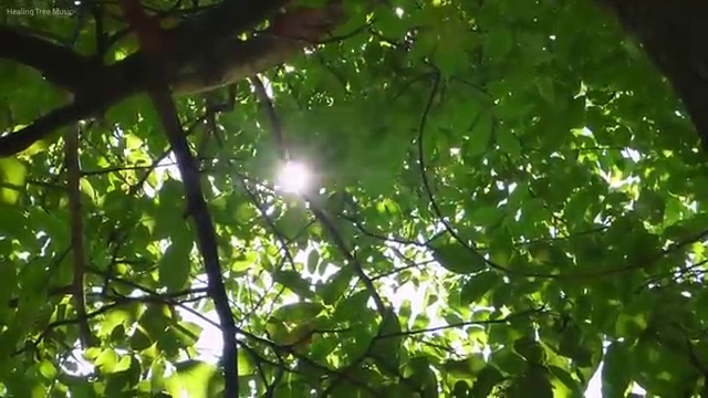  ev6장기렌트후기 렌트 , 가장 현실적인 이용방법 초기 비용 없이 알아보세요 !