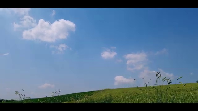  도로교통 감정사 , 자격증 공부한 방법