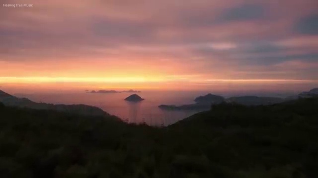  교통사고분석사 , 자격증 합격한 팁