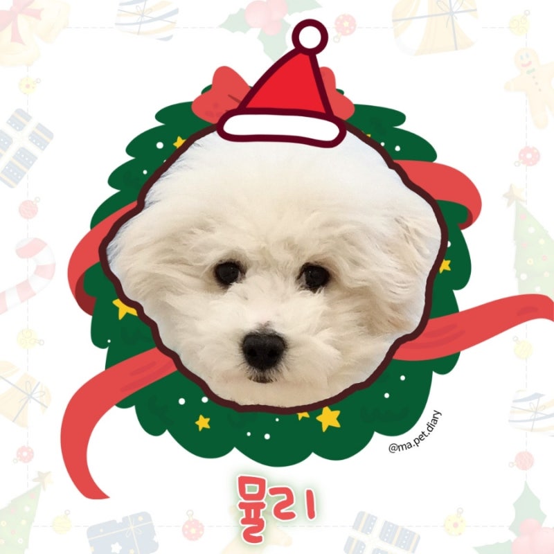 사진 5
