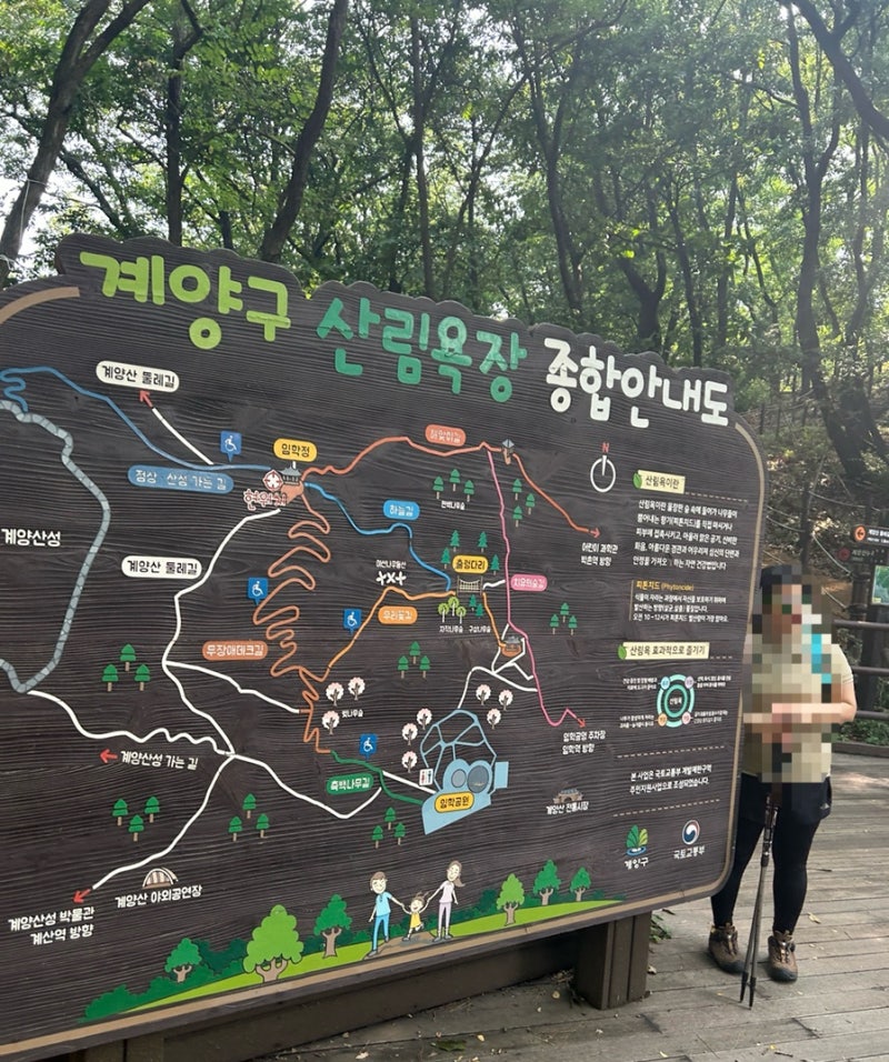사진 3