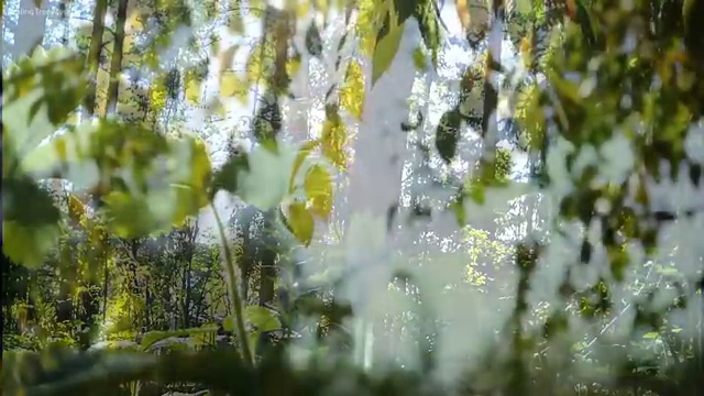  도로교통사고감정사 , 쉽고 빠르게 준비한 방법