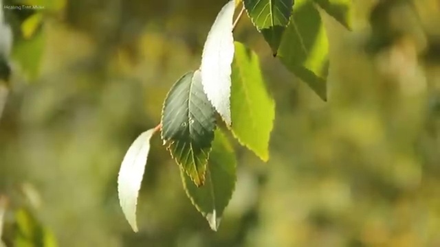  교통사고 감정사 , 자격증 교육기관