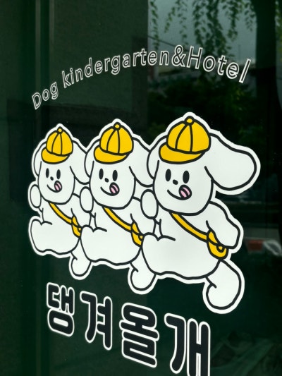 사진 4