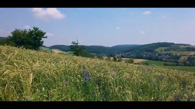  도로교통사고감정사 , 자격증 활용방법