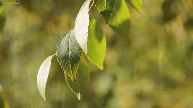  도로교통감정사 , 빠르게 준비하는 방법