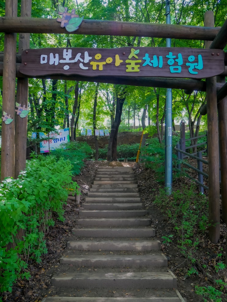  매봉산 갔다가 응봉산으로~