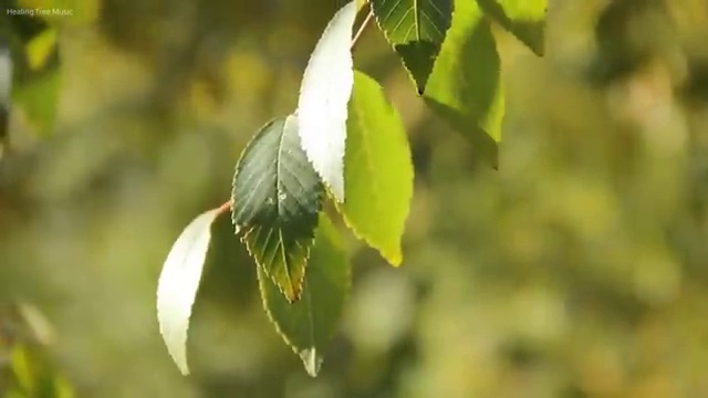  도로교통사고감정사 , 간편하게 성공한 꿀팁 모음