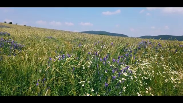  교통사고 분석사 , 자격증 주목받는 이유