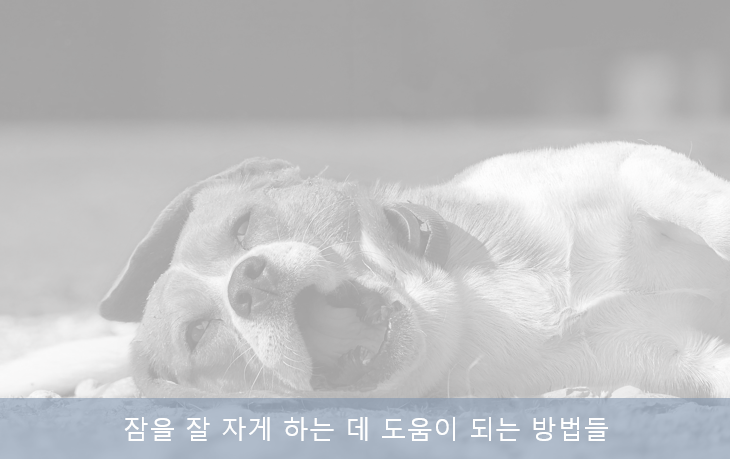 잠이 잘 들지 않을 때 이렇게 해보세요 (수면 위생) 잠이 잘 들지 않을 때 이렇게 해보세요 (수면 위생)
