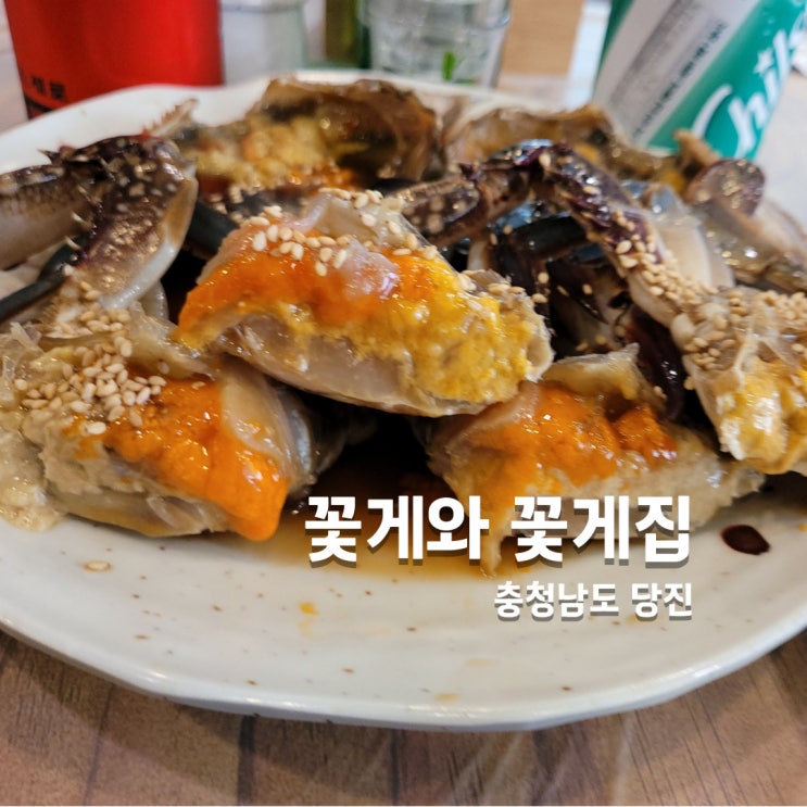  당진 점심 맛집 1박2일 출연 꽃게와 꽃게집