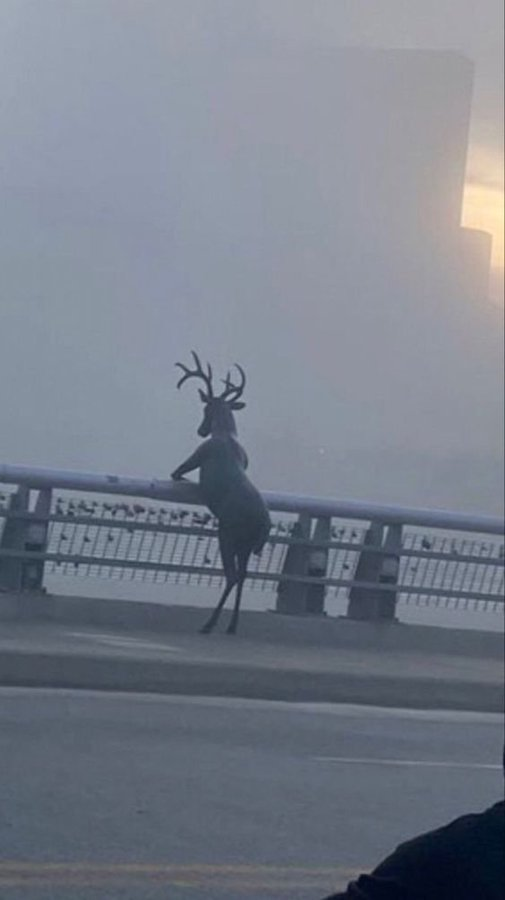  어떻게 살아야할지 막막할 때 읽는 철학책 책리뷰