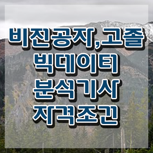  빅데이터분석기사 응시자격 서류 빅데이터분석기사 응시자격 온라인 수업으로 4달 안에 완료한 과정