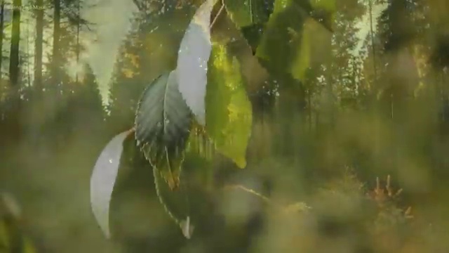  킨텍스웨딩박람회 스드메 패키지 비용 절약 꿀팁 : , 웨딩박람회에서 결혼준비 스마트하게 정리하는 노하우
