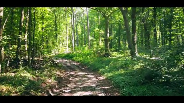  가족 해외여행지 추천 , 현지 전문가 가 정리해 봤어요 (무료 서비스)