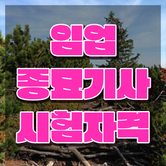  임업종묘기사 접수 임업종묘기사 응시조건 집에서 온라인으로 5달만에 완료한 전략