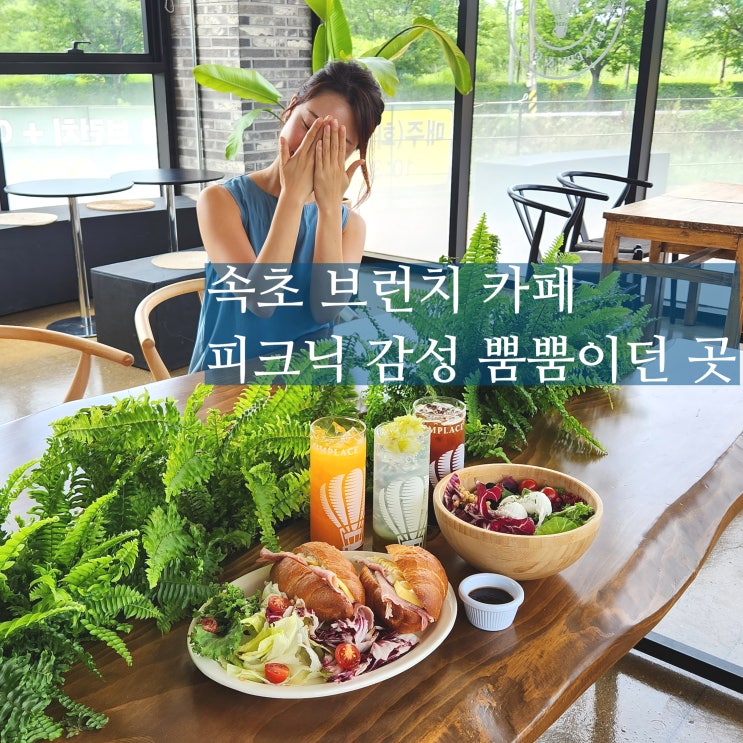  속초 브런치 카페 심플레이스 애견동반 피크닉 어때요