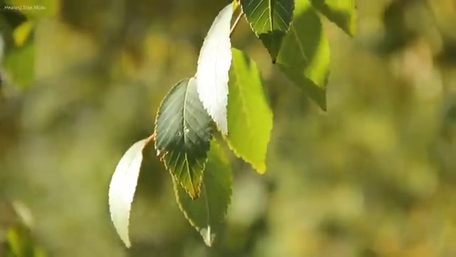  gv70장기렌트가격 렌트 합리적인 알아보려면?