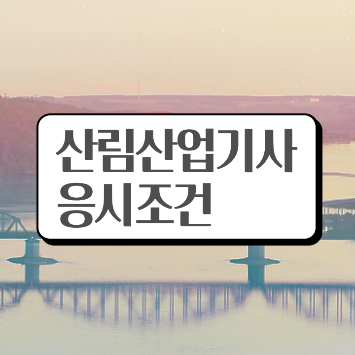  산림산업기사 시험 시간 산림산업기사 자격요건 인강만 듣고 4달 안에 완료한 방법