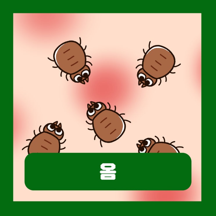  옴 진드기 증상 전염성 잠복기 피부질환 치료 연고