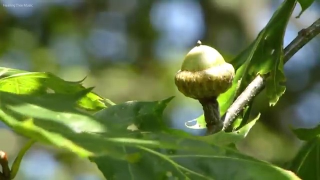  아반떼장기렌트후기 리스 , 합리적인 방법