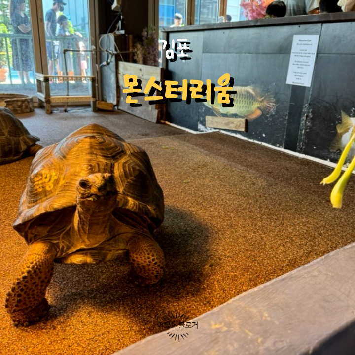  김포 수산공원 몬스터리움 실내동물원 먹이주기 체험