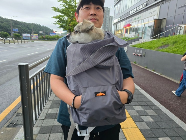  중형견 강아지 이동가방과 윈드블랭킷 있으면 버스타기 가능