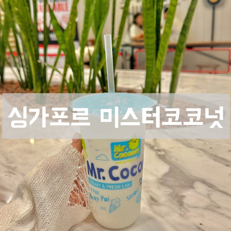  싱가포르 현지 디저트 맛집 미스터 코코넛 쥬얼 창이점