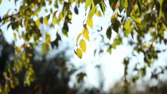  웨딩플래너업체 결혼 준비 요령 , 결혼박람회에서 지혜롭게 설계하는 노하우