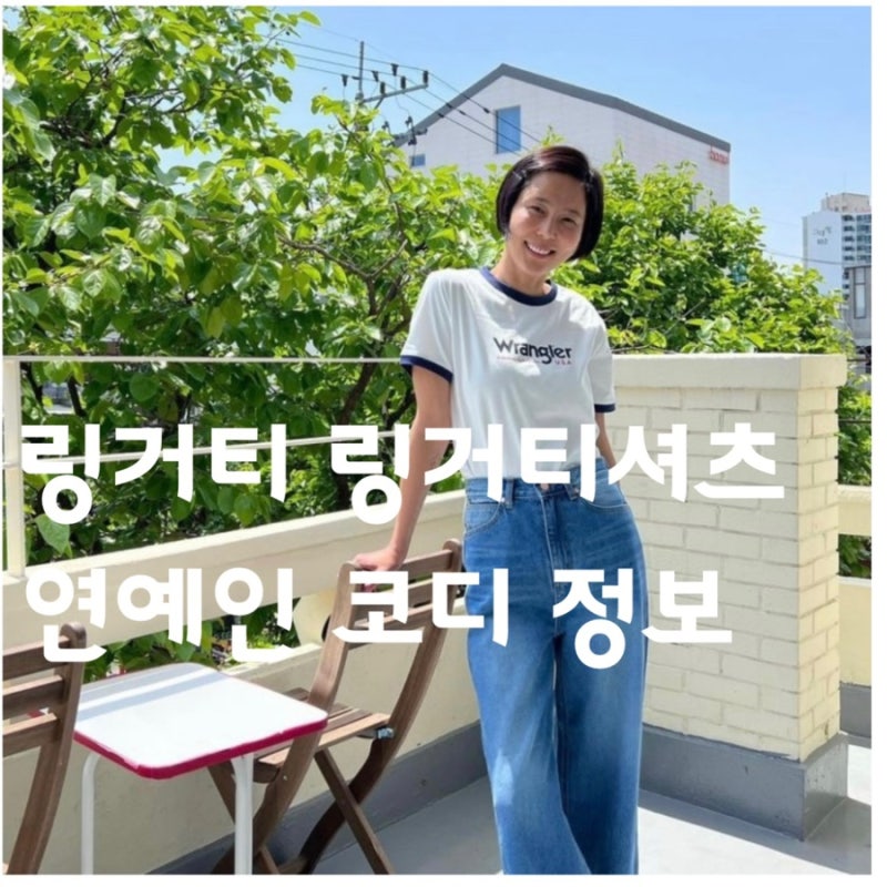 링거티 코디 뜻 연예인 링거티셔츠 정보