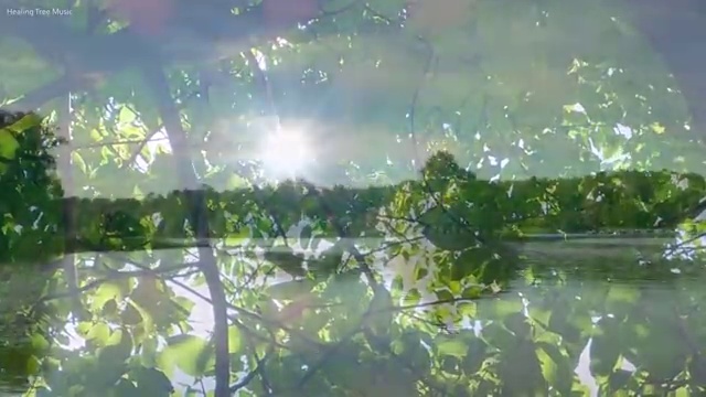  웨딩플래너업체 , 웨딩 스튜디오 예산에 맞는 곳 찾아보세요 완벽한 순간을 남기는 법 , 웨딩박람회에서 결혼준비 현명하게