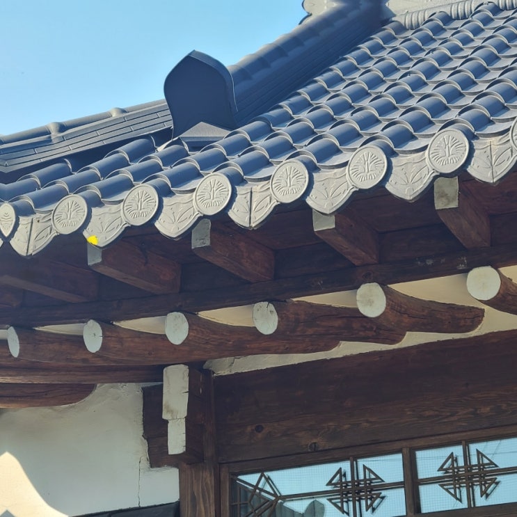  [경주 숙소 추천] 조히