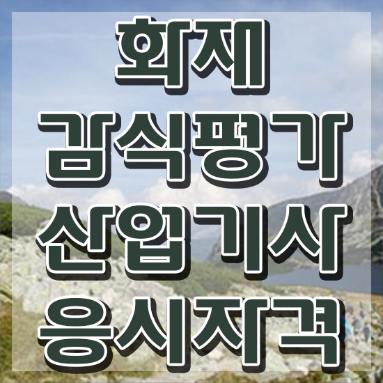  화재감식평가산업기사 시험접수 화재감식평가산업기사 취득자격 온라인으로 단기간에 준비한 방법