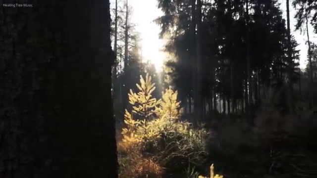  리스 , 최적의 견적 있어요!