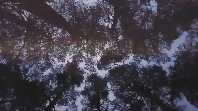  베트남 여행비용 아낄 수 있는 방법 , 현지 전문가 가 무료로 설계해 드립니다. (무료 서비스)