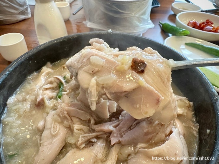  부천 한방 삼계탕 맛집 삼복(초복, 중복, 말복) 오이삼계탕 부천본점