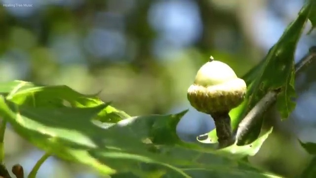  중구 필동 세면대막힘비용 전쟁에서 승리하기