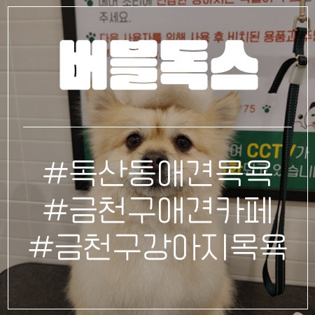 사진 4