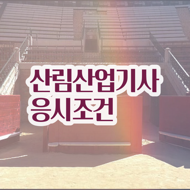  산림산업기사 자격 요건 산림산업기사 응시조건 학점은행제로 쉽고 빠르게 완료한 노하우