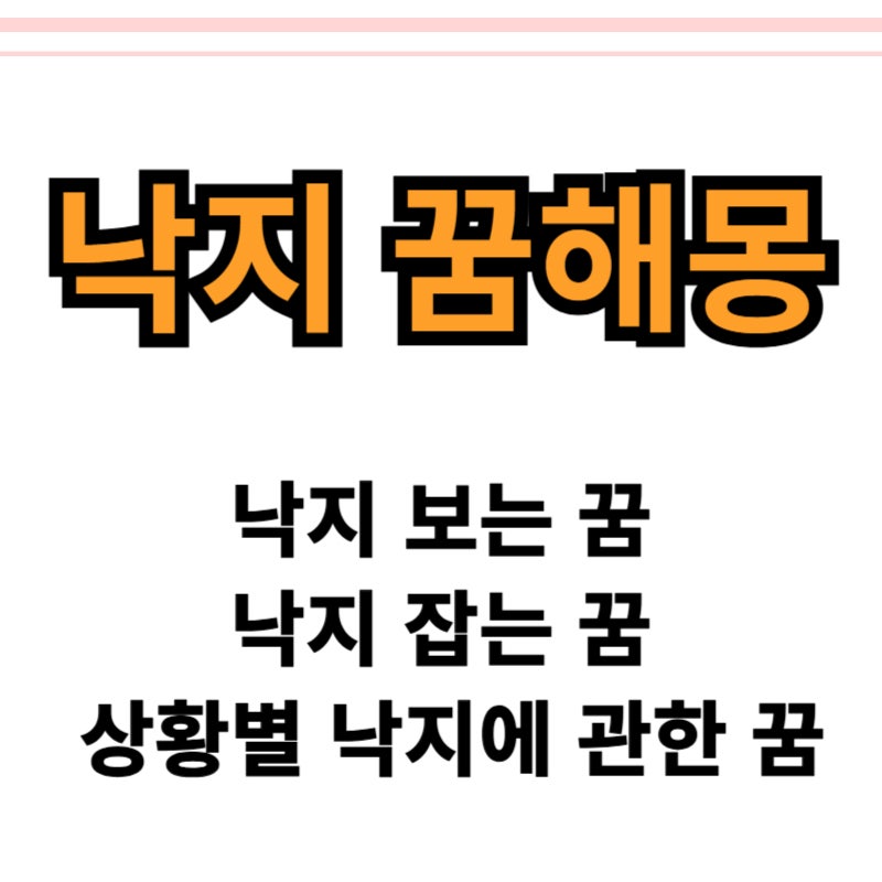 낙지먹는꿈 잡는꿈 外 다양한 낙지꿈해몽 총 정리
