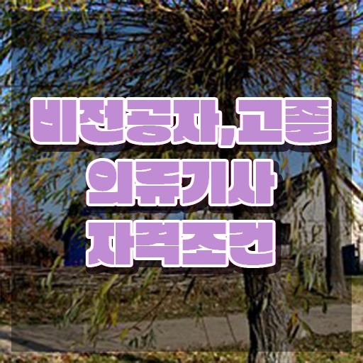  의류기사 응시자격 온라인 수업으로 단기간에 준비한 방법
