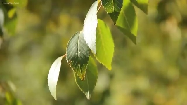  스포티지 장기렌트 비용 리스 , 가장 적절한 이용방법 초기 비용 없이 찾아보세요 .