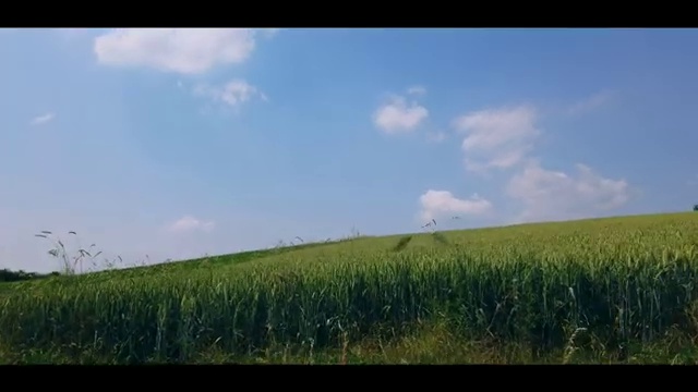  ev6신차장기렌트 리스 , 정말 납득할 수 있는 이용방법 초기 비용 없이 완벽한 선택 .