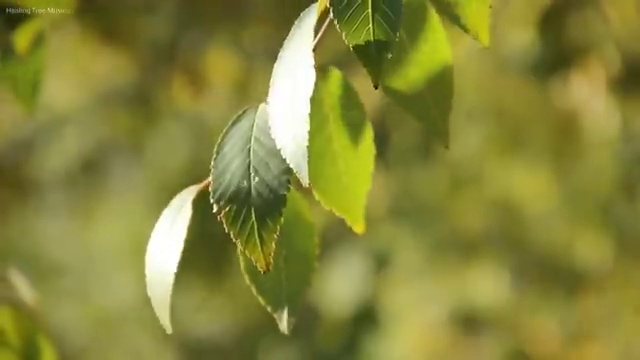  은평구 응암3동 화장실하수도막힘 bye bye!
