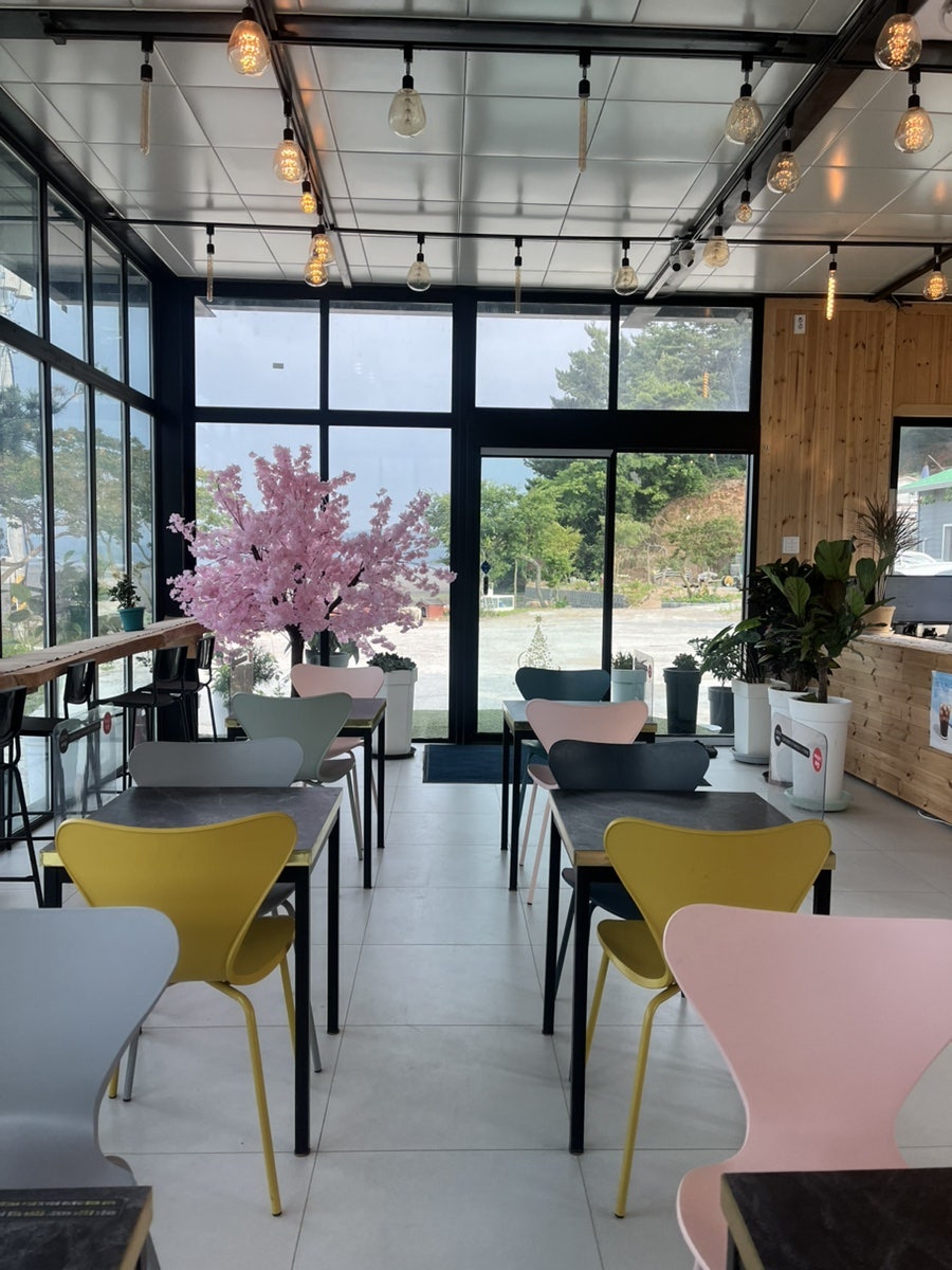 태며듦 사진 4