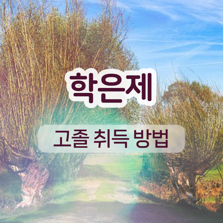  학점은행제 기간 관련학과 아니어도 취득할 수 있어요